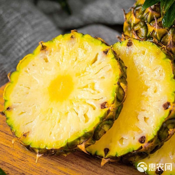 甜蜜牛奶手撕香水小菠萝 云南当季鲜果的味觉奇迹与分享攻略